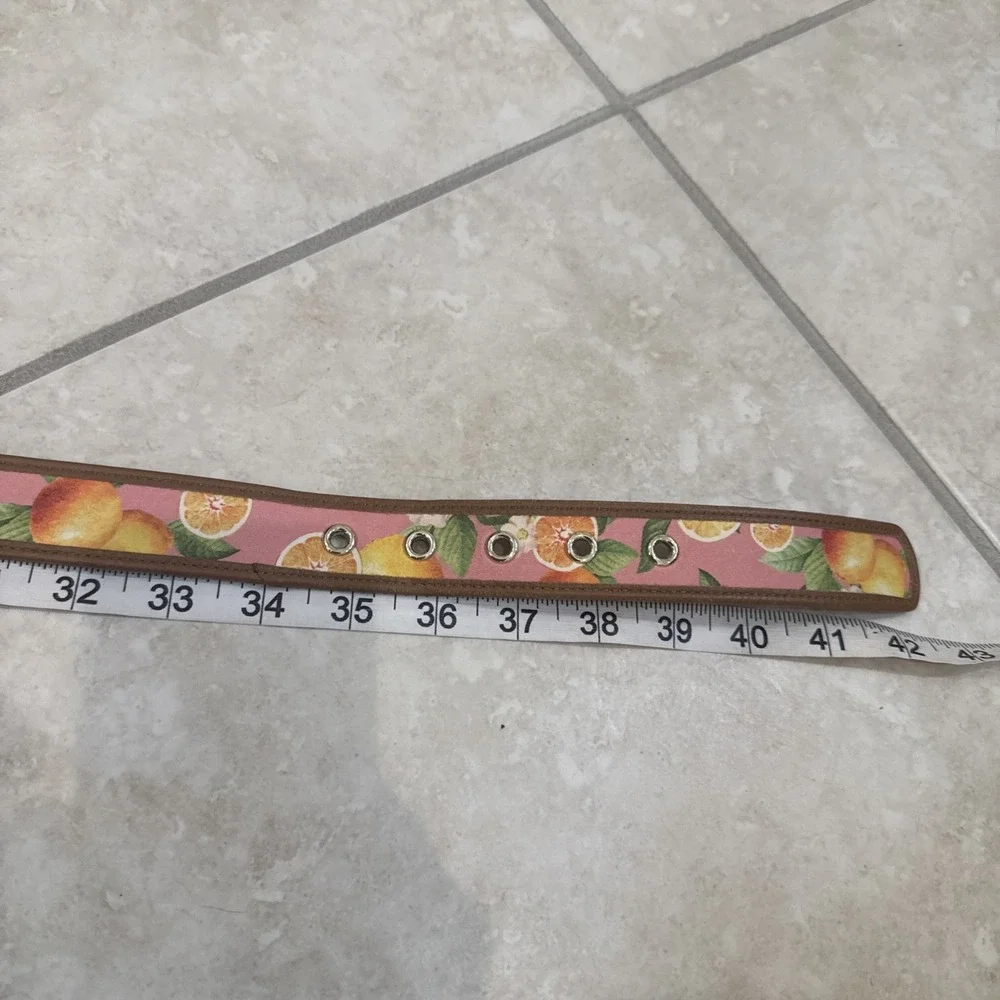 Talbots Pink Belt Orange Fruit Print Leather Trim Gold Tone Buckle Sz L Preppy